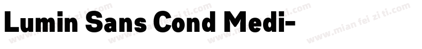 Lumin Sans Cond Medi字体转换